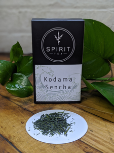 Kodama Sencha by Spirit Tea